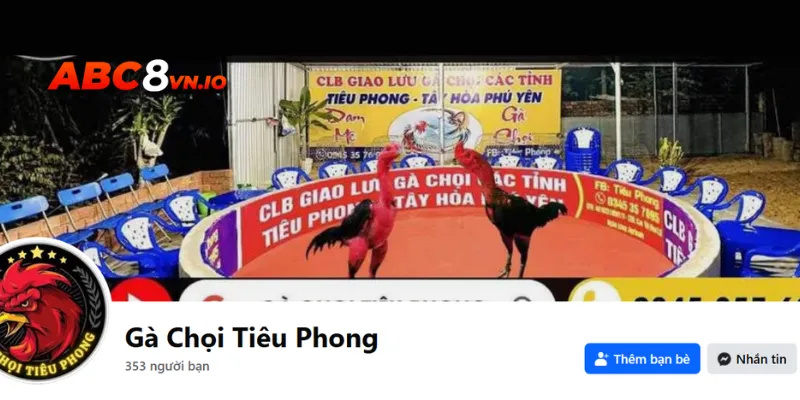 Bạn có thể theo dõi trang mạng xã hội của trại gà 