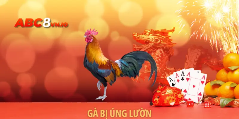 Gà Bị Úng Lườn - Triệu Chứng, Nguyên Nhân Và Cách Điều Trị