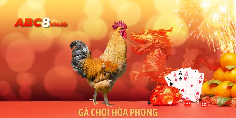 Gà Chọi Hòa Phong - Điểm Đến Yêu Thích Của Sư Kê Việt 
