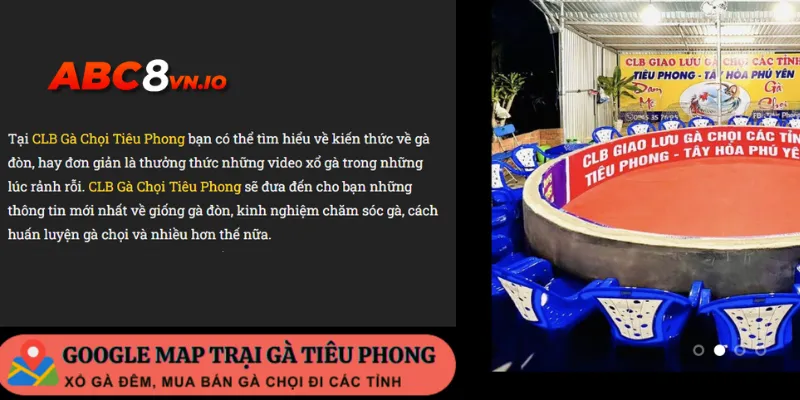 Gà chọi Tiêu Phong nhận được sự yêu thích đặc biệt