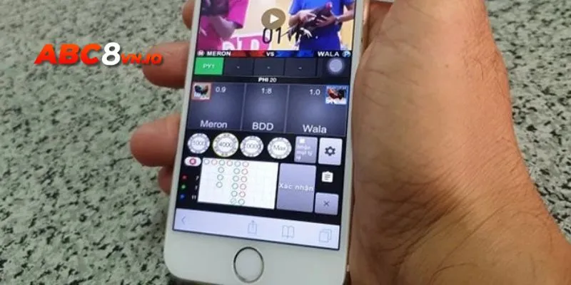 Không còn lo lắng khi đặt cược đá gà trên mạng