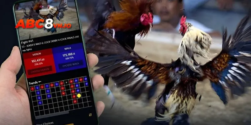 Người chơi nhận thông tin về lịch thi đấu, kết quả đá gà