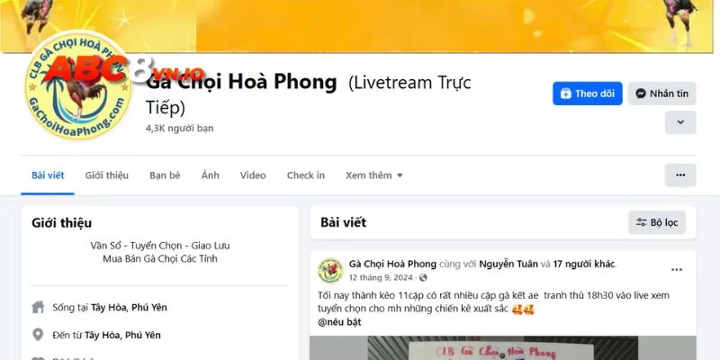 Theo dõi trang mạng xã hội chính thức của gà chọi Hòa Phong