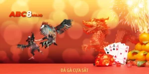 Đá Gà Cựa Sắt - Trải Nghiệm Đặt Cược Siêu Kịch Tính, Hồi Hộp